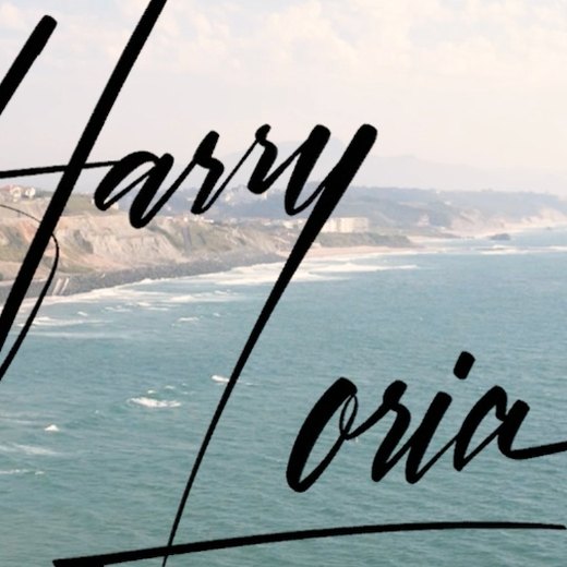 Logo Harry Loria
